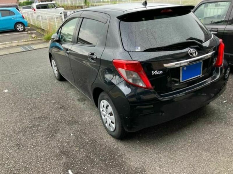 VITZ-8