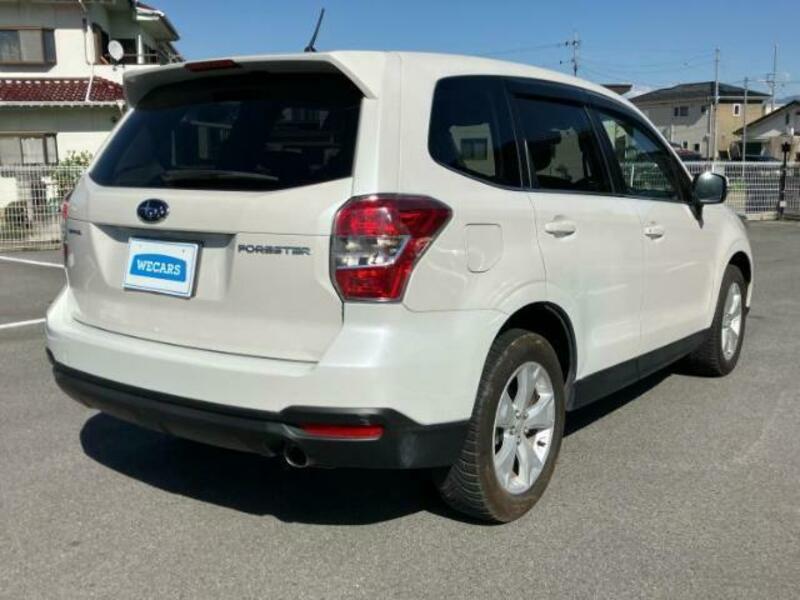 FORESTER-2
