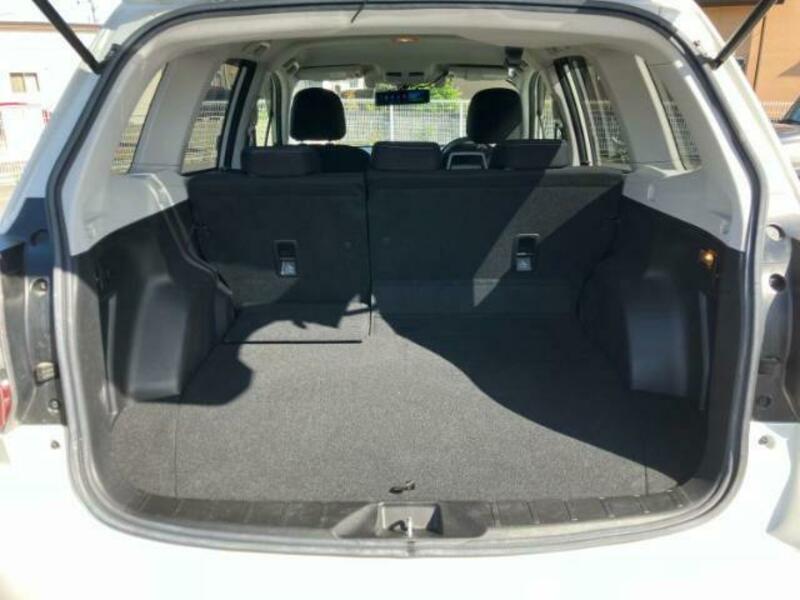 FORESTER-7