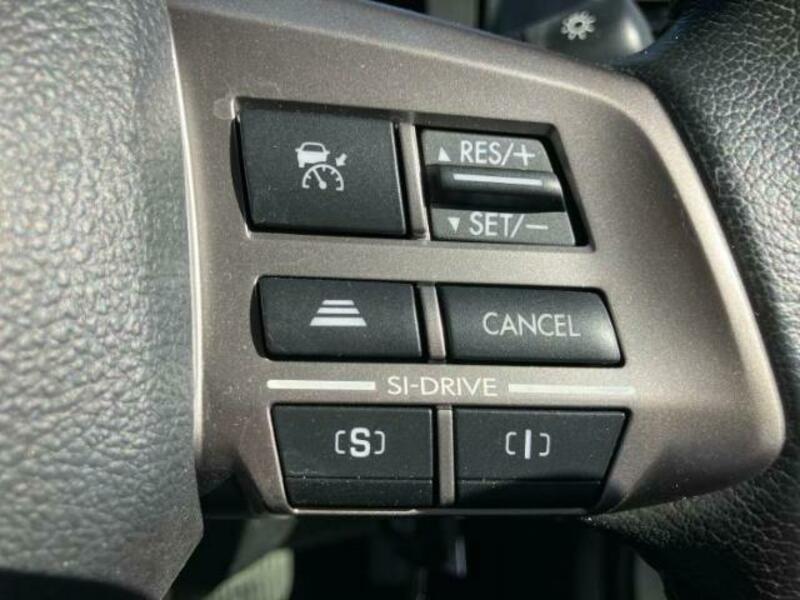 FORESTER-8
