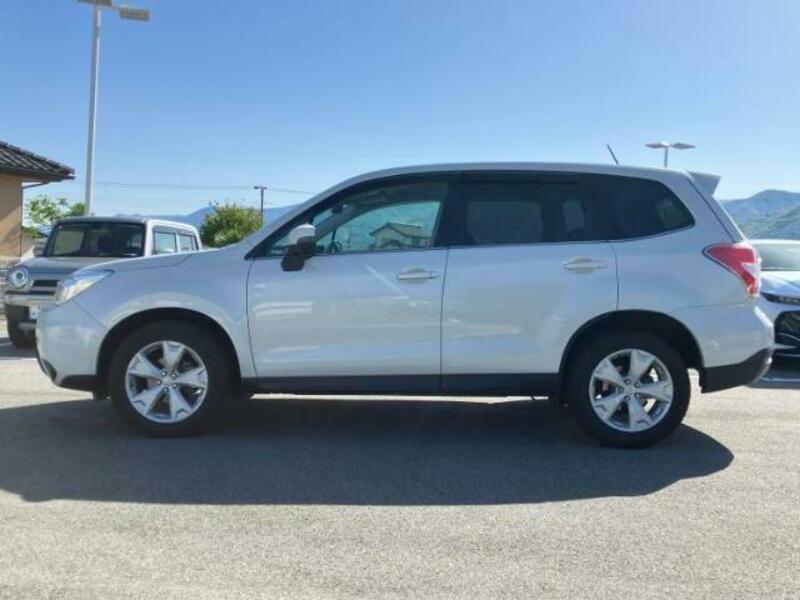 FORESTER-1
