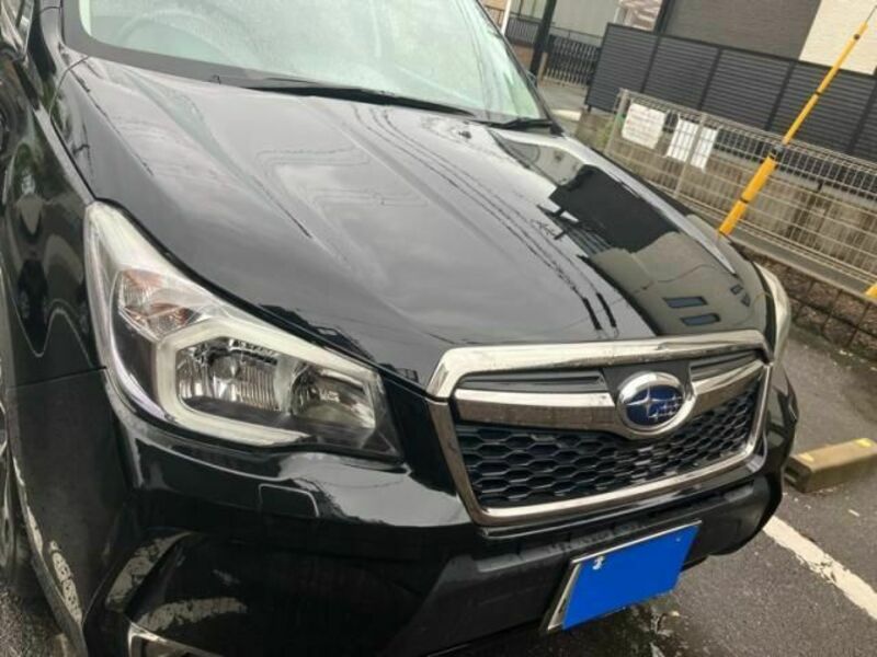FORESTER-1