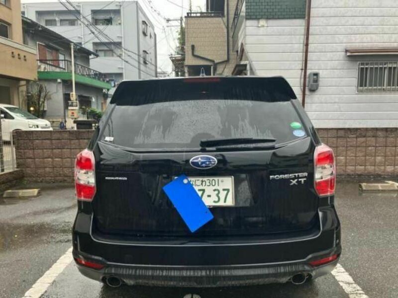 FORESTER-3