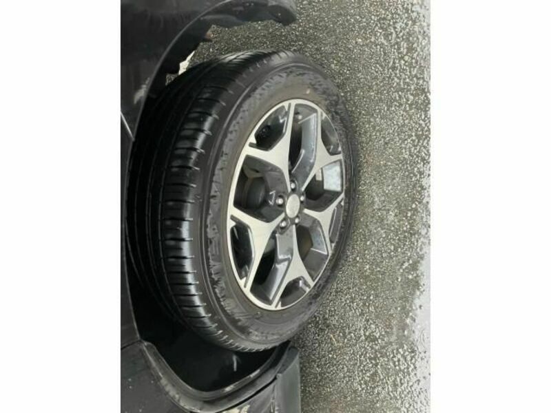 FORESTER-9
