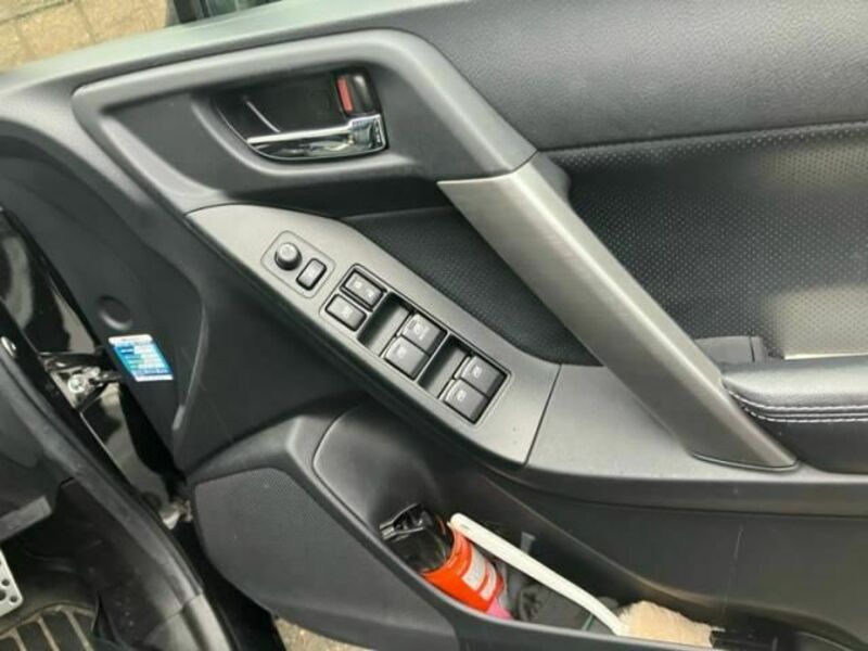 FORESTER-12