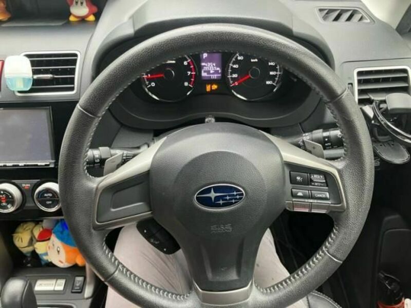 FORESTER-14