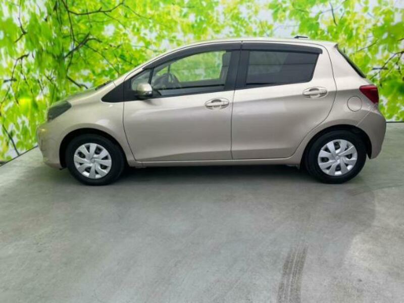 VITZ-1