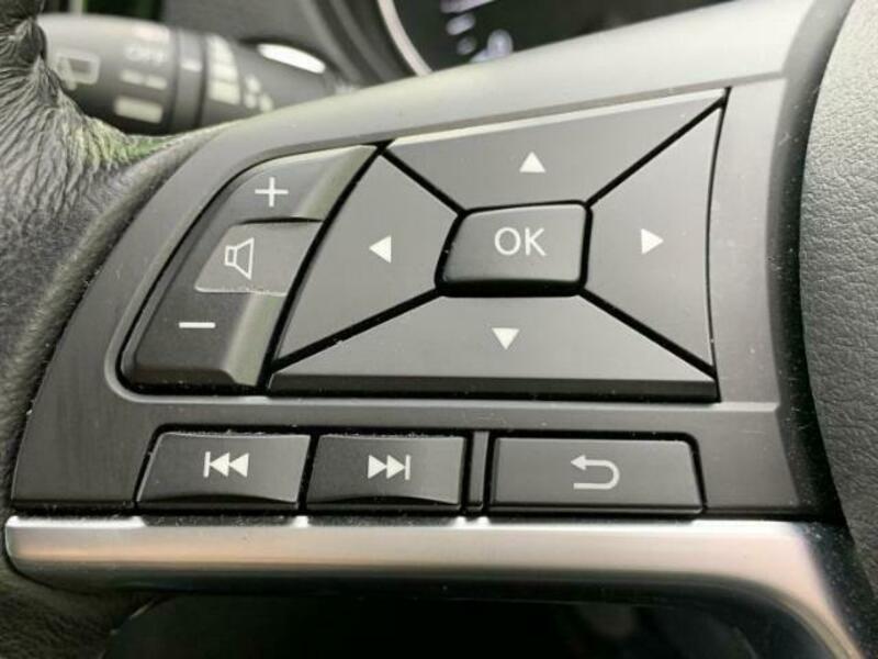 X-TRAIL-17