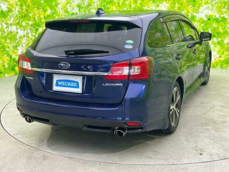 LEVORG