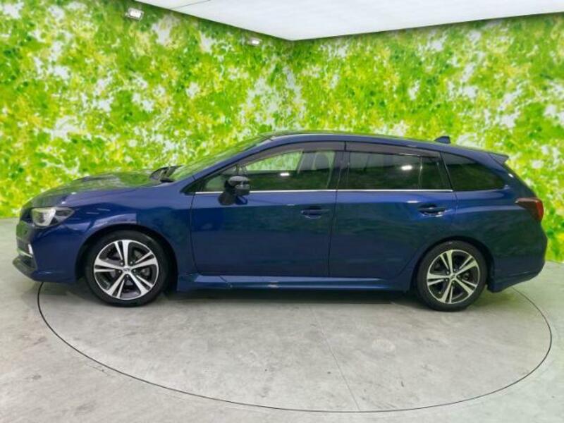 LEVORG