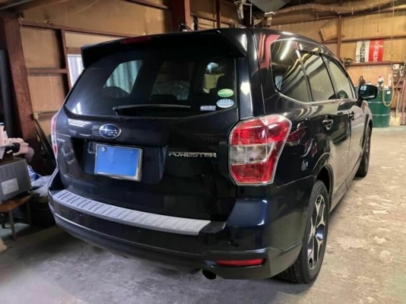 FORESTER