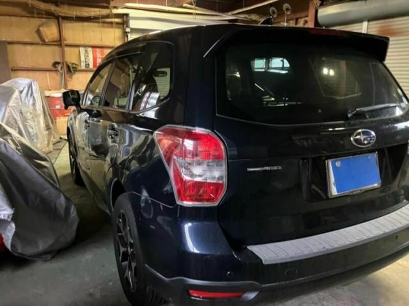 FORESTER