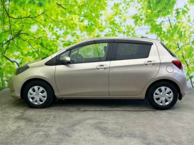VITZ-1