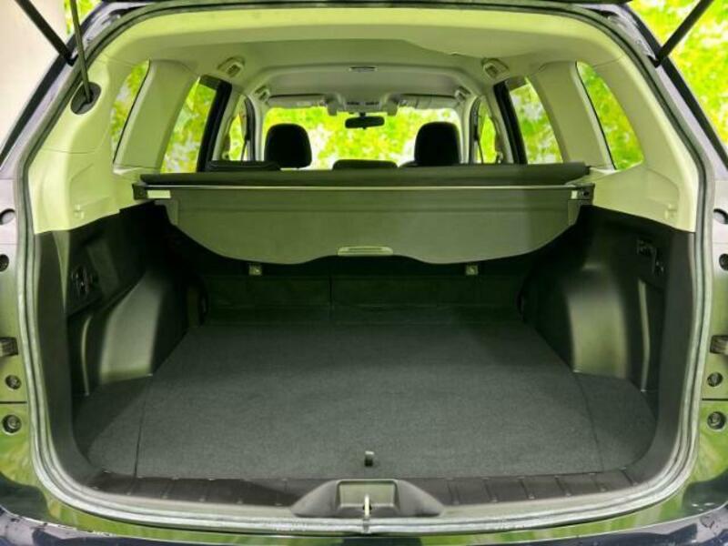 FORESTER-7