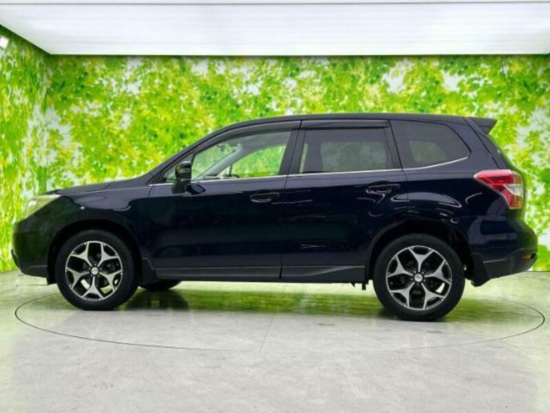 FORESTER-1