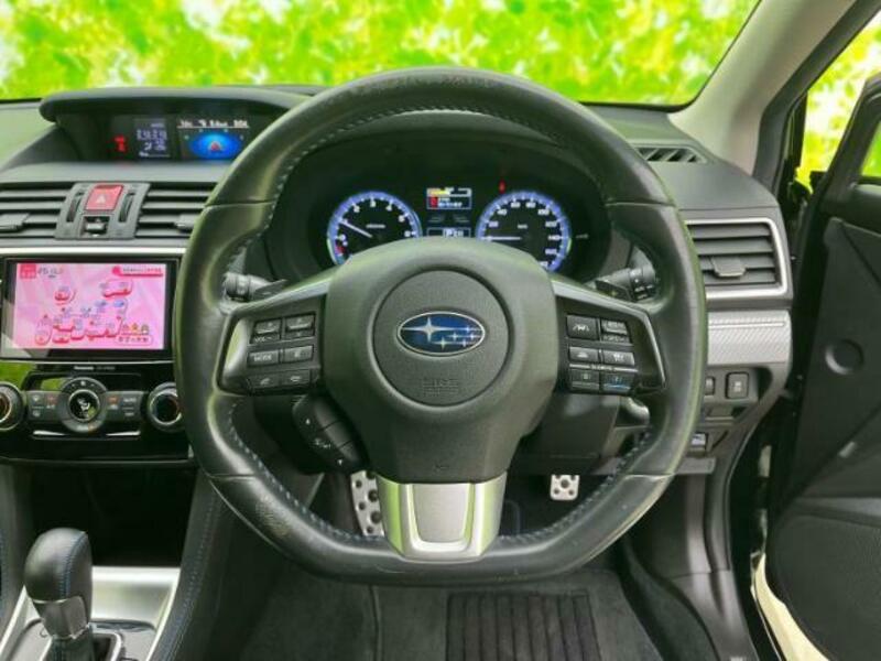 LEVORG-13