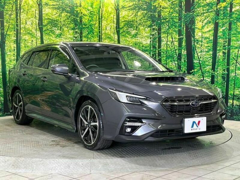 LEVORG
