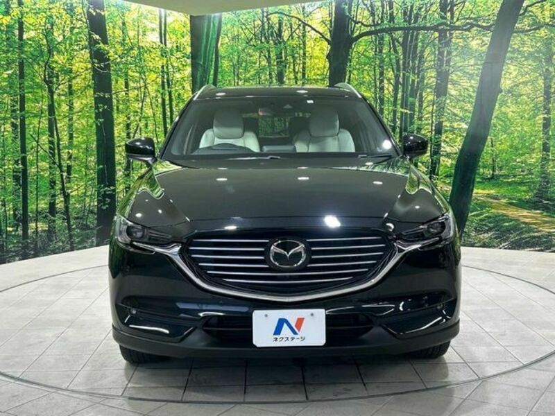 CX-8