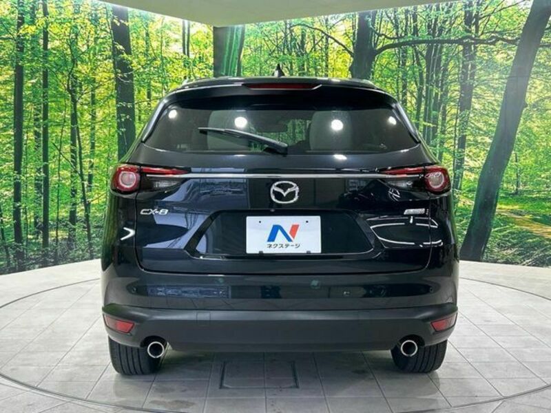 CX-8