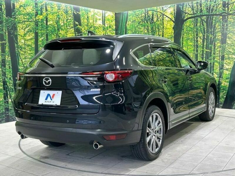 CX-8