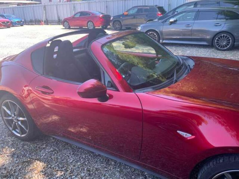 ROADSTER RF