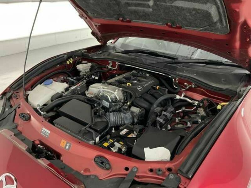 ROADSTER RF