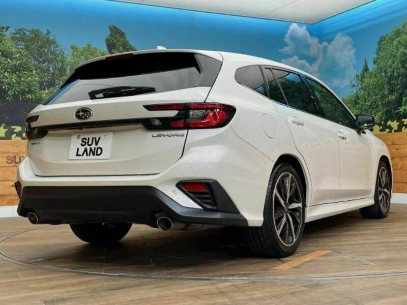 LEVORG