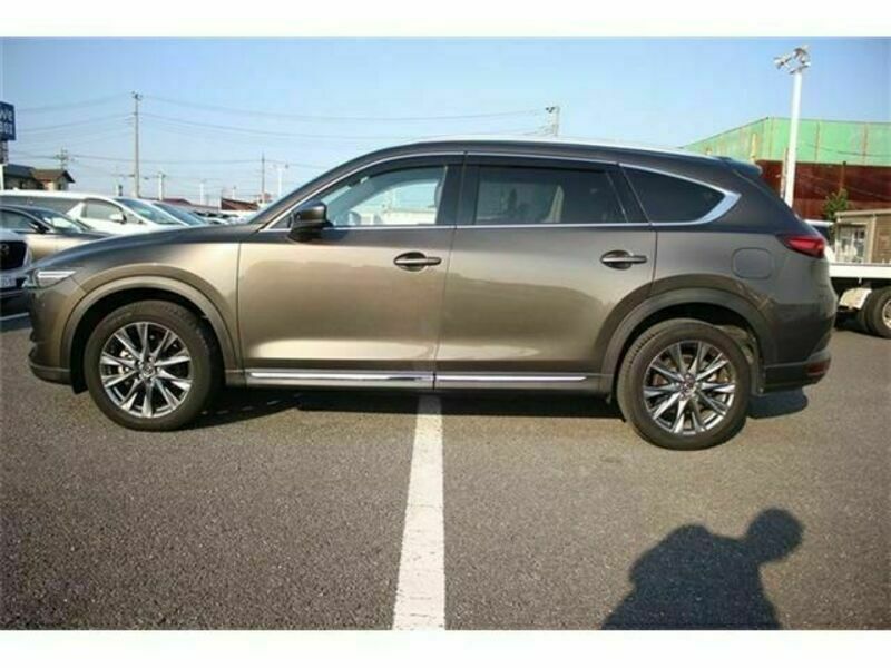 CX-8