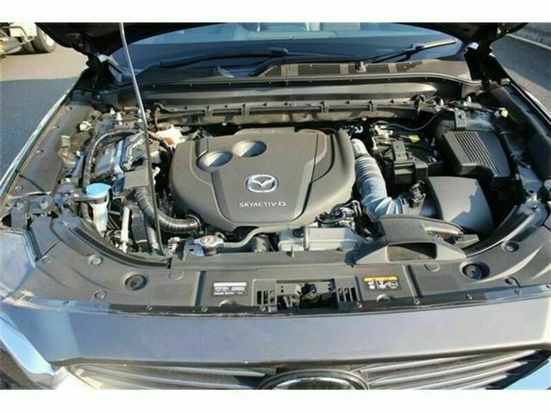 CX-8
