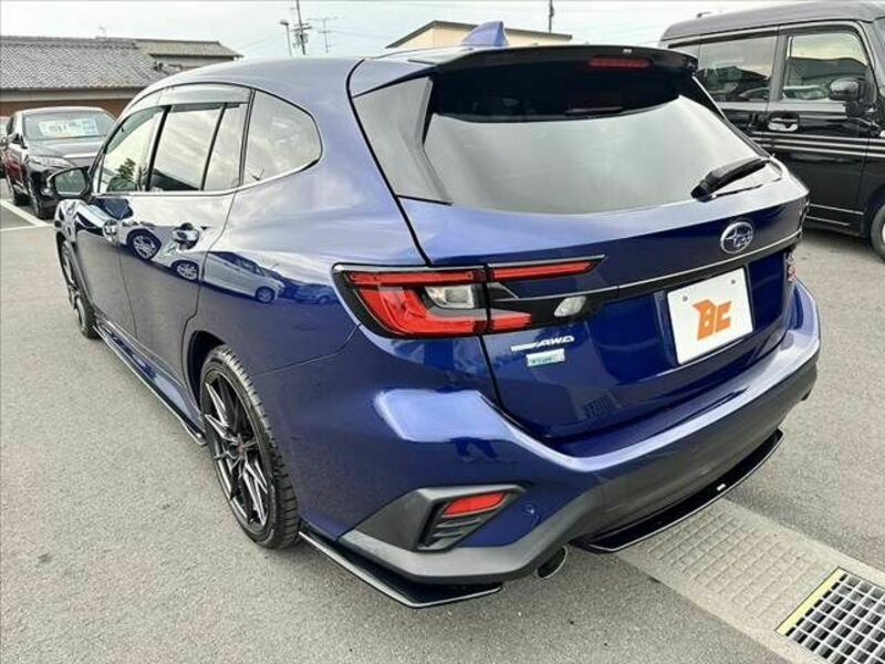 LEVORG