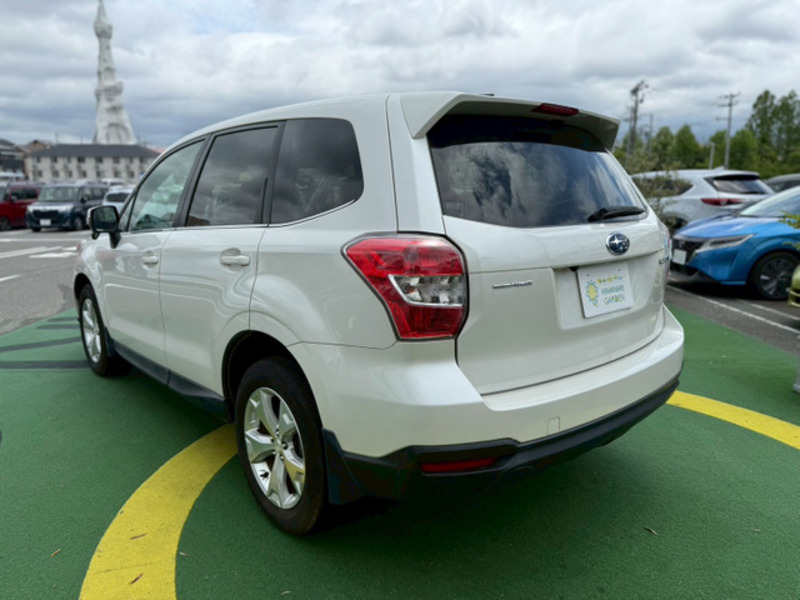 FORESTER