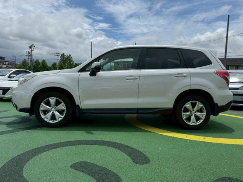 FORESTER
