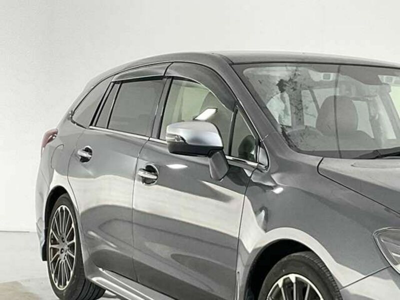 LEVORG
