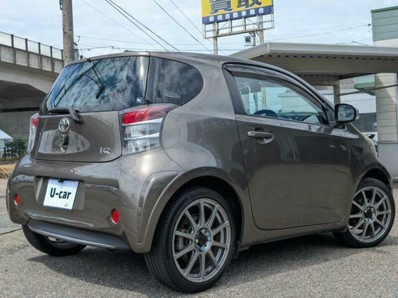 IQ
