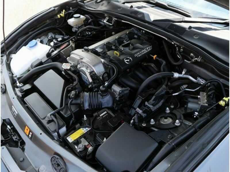ROADSTER RF
