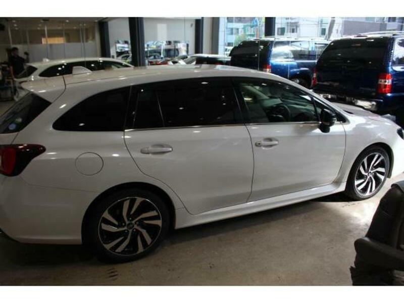 LEVORG