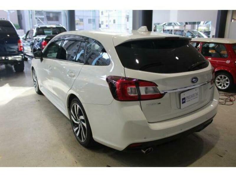 LEVORG