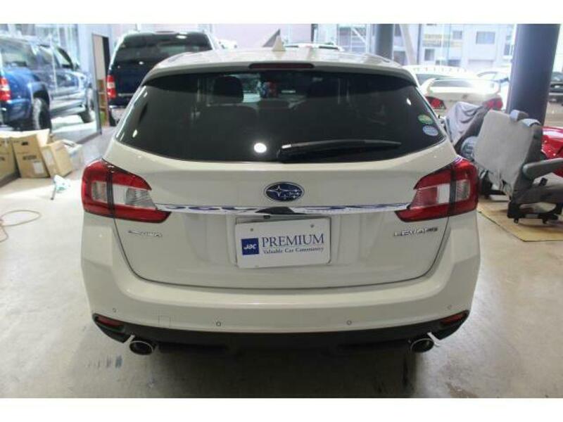 LEVORG