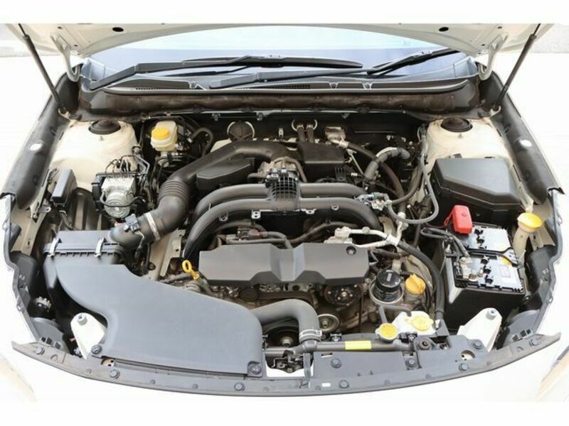 LEGACY OUTBACK