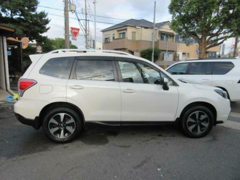FORESTER