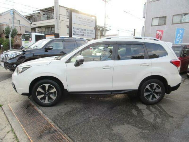 FORESTER