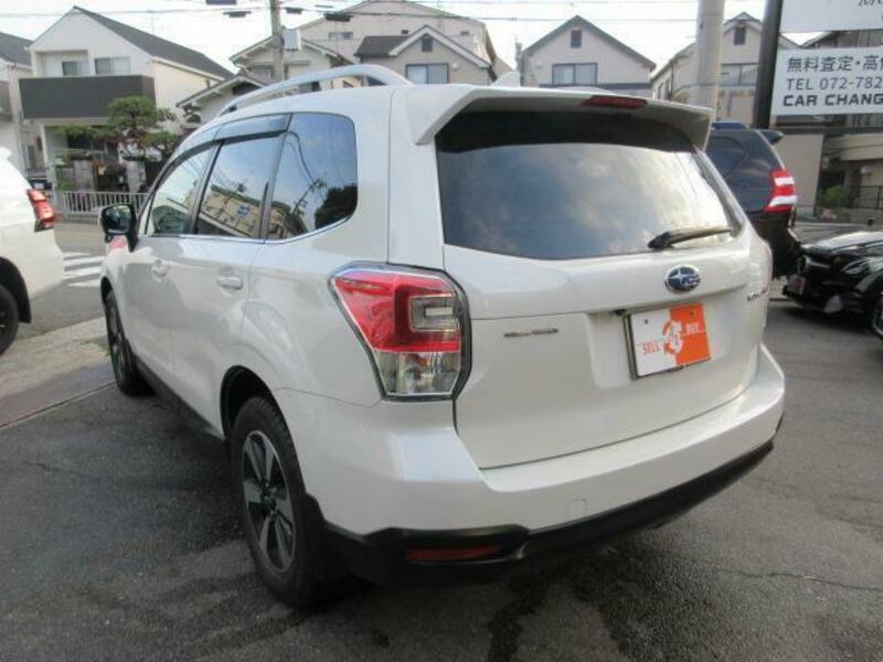FORESTER