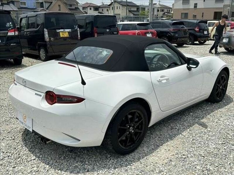 ROADSTER