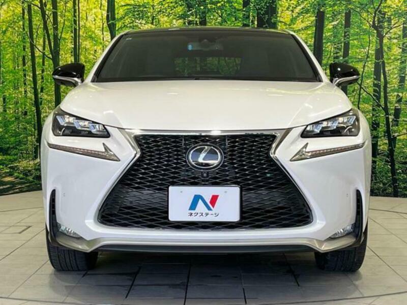 NX