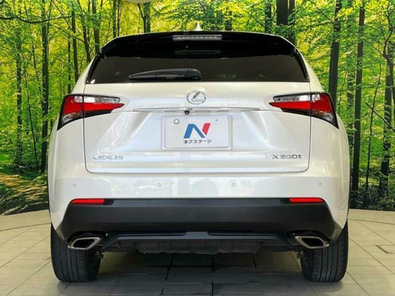 NX