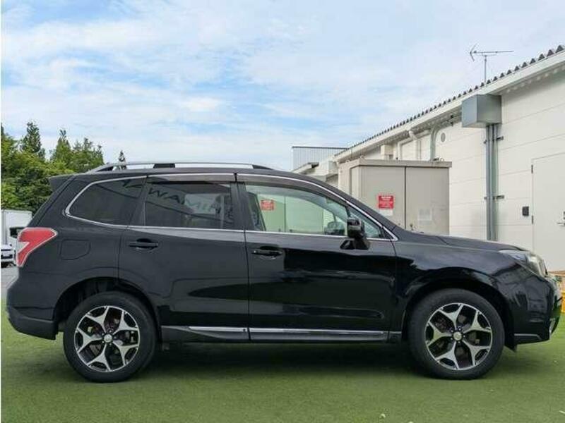 FORESTER