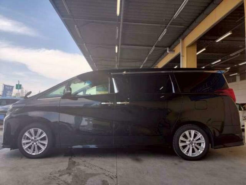 ALPHARD
