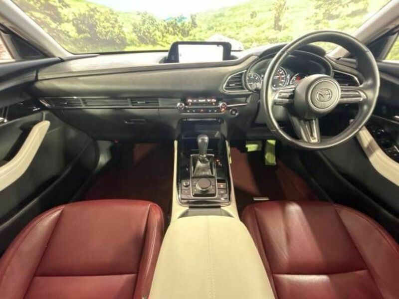 CX-30