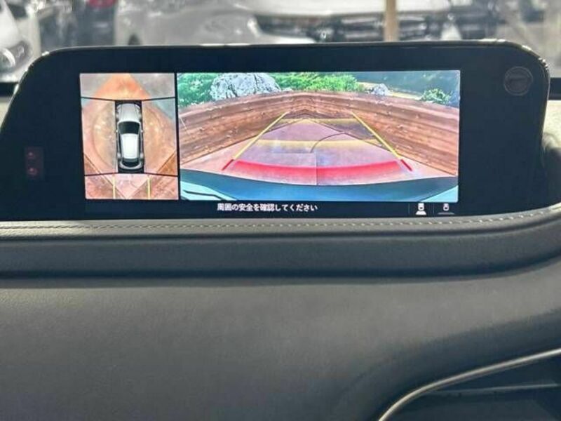 CX-30