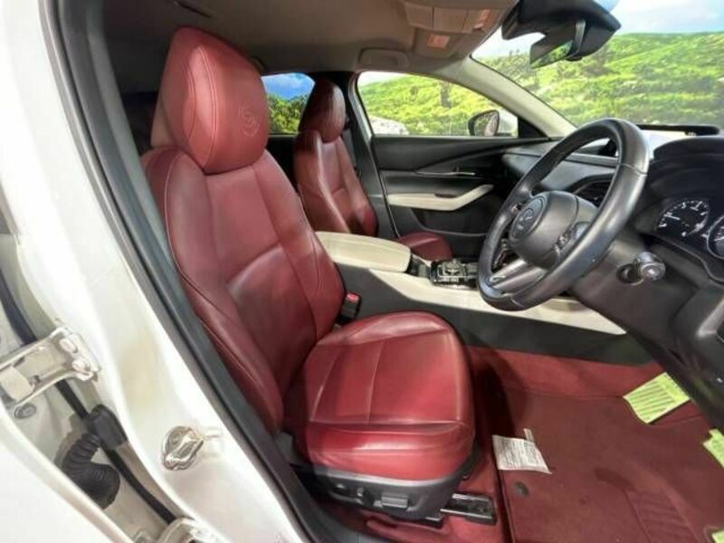 CX-30